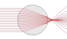 Featured IntroPhys Resource