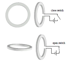 Featured IntroPhys Resource