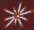 ComPADRE.org